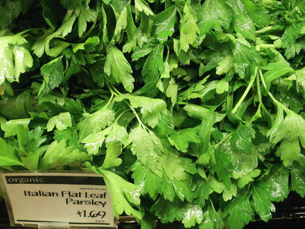 Culinary Herbs