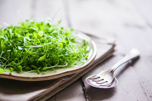 What exactly are microgreens?