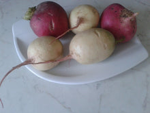 Vegetable Starters