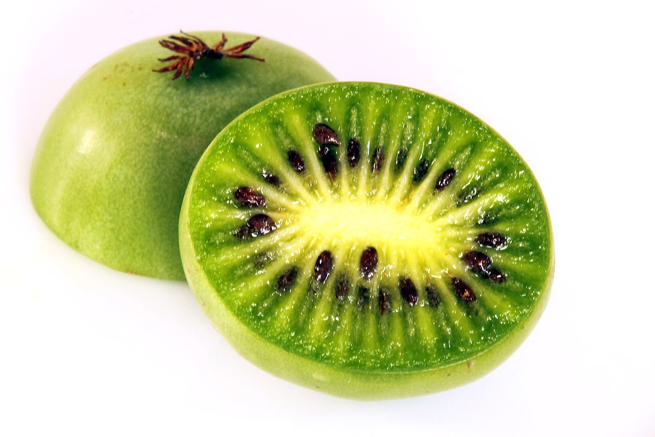 Fresh Hardy Kiwi grown in Alabama by Wade Greens