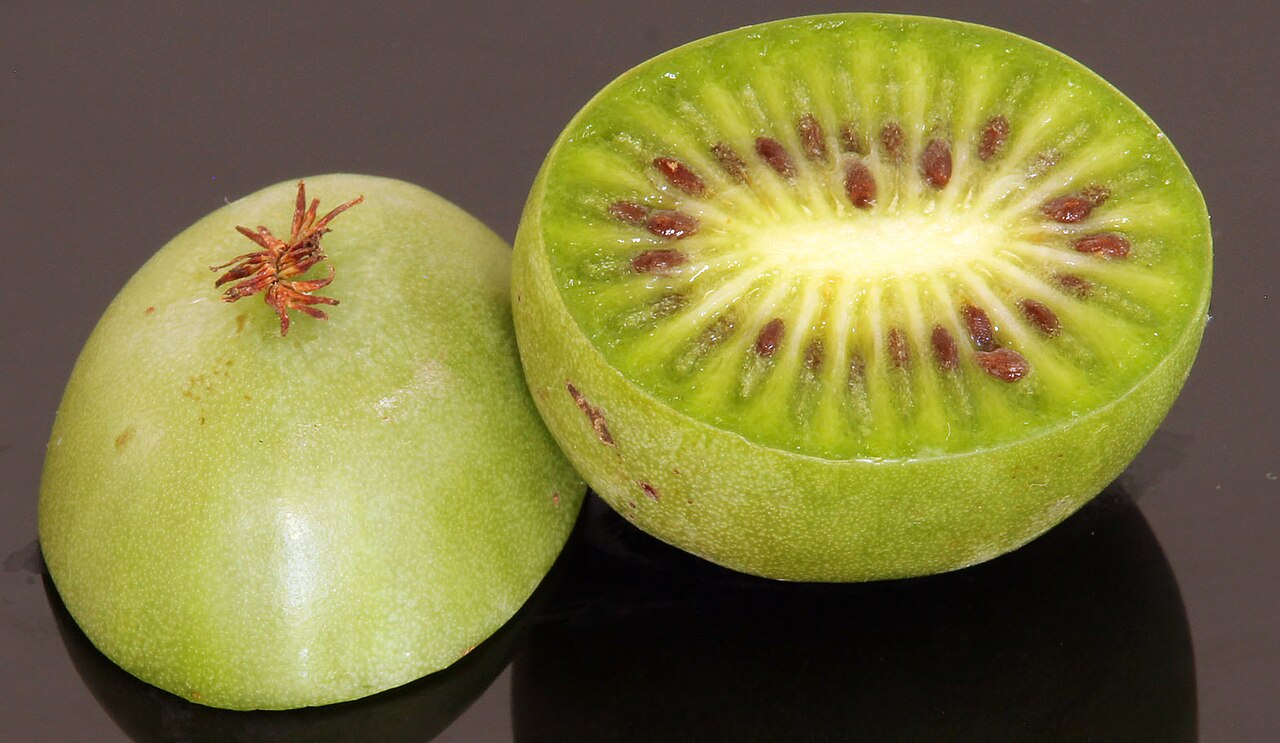 Fresh Hardy Kiwi grown in Alabama by Wade Greens