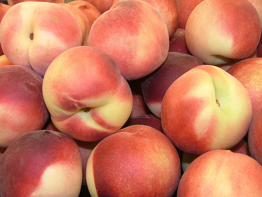 Fresh Peaches grown in Alabama by Wade Greens