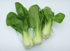 Fresh Bok Choy / Pak Choi grown in Alabama by Wade Greens