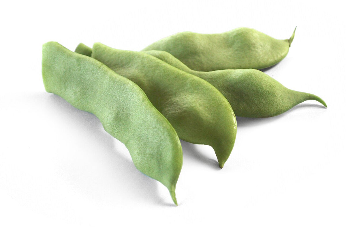 Fresh Bush Bean grown in Alabama by Wade Greens