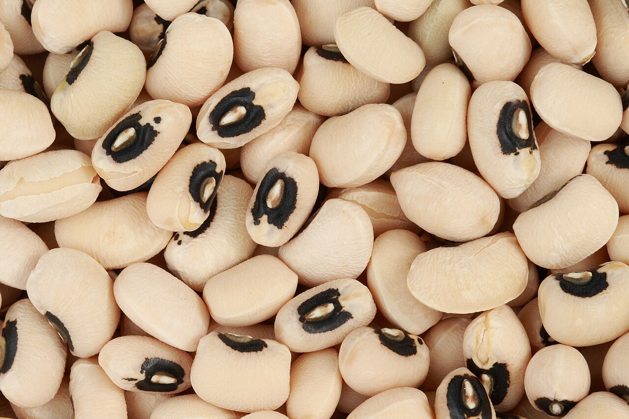 Fresh Southern Pea (Cowpea) grown in Alabama by Wade Greens