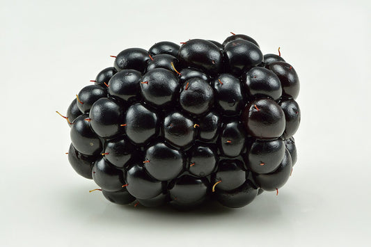 Fresh Blackberries grown in Alabama by Wade Greens