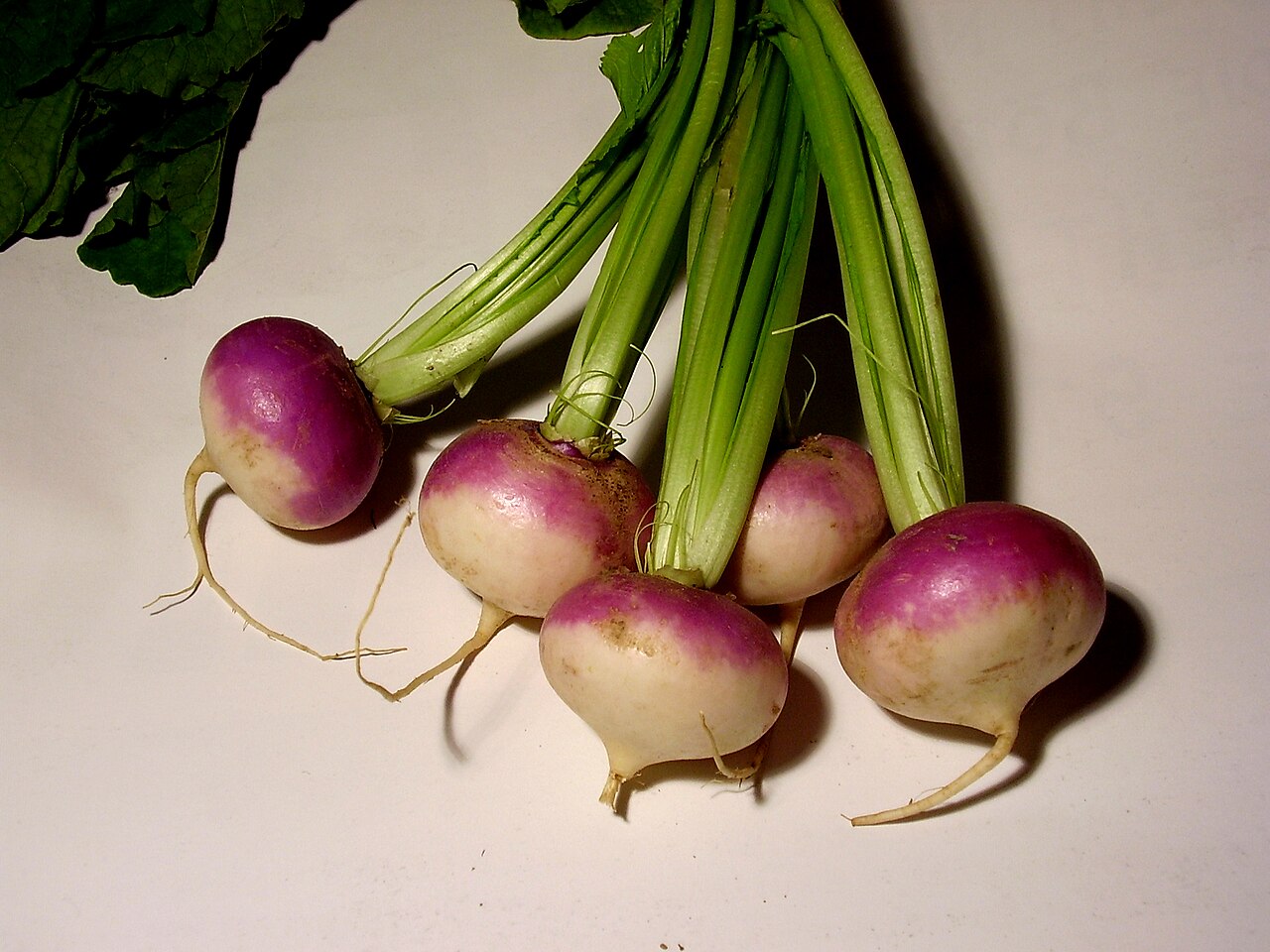 Fresh Turnip grown in Alabama by Wade Greens