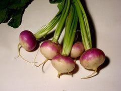 Fresh Turnip grown in Alabama by Wade Greens