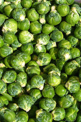 Fresh Brussels Sprouts grown in Alabama by Wade Greens