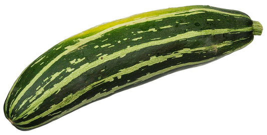 Zucchini Starter Plant — photo: Evan-Amos, Public domain, via Wikimedia Commons