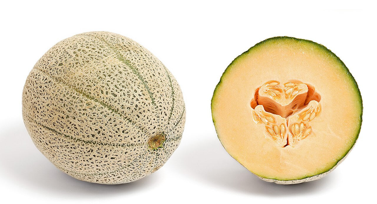 Fresh Specialty Melon grown in Alabama by Wade Greens