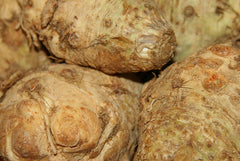 Fresh Celeriac grown in Alabama by Wade Greens