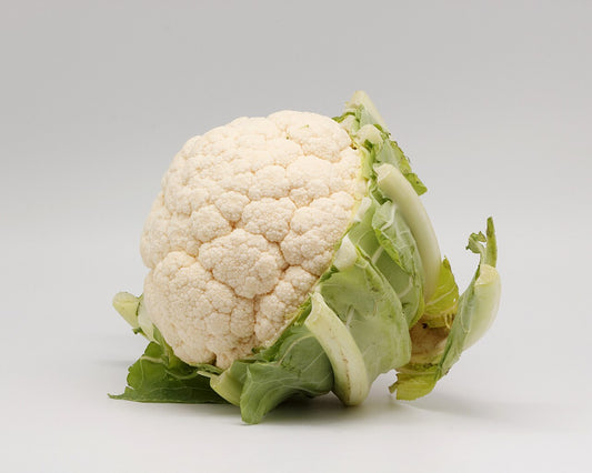 Cauliflower Starter Plant — photo: Coyau, CC BY-SA 3.0, via Wikimedia Commons