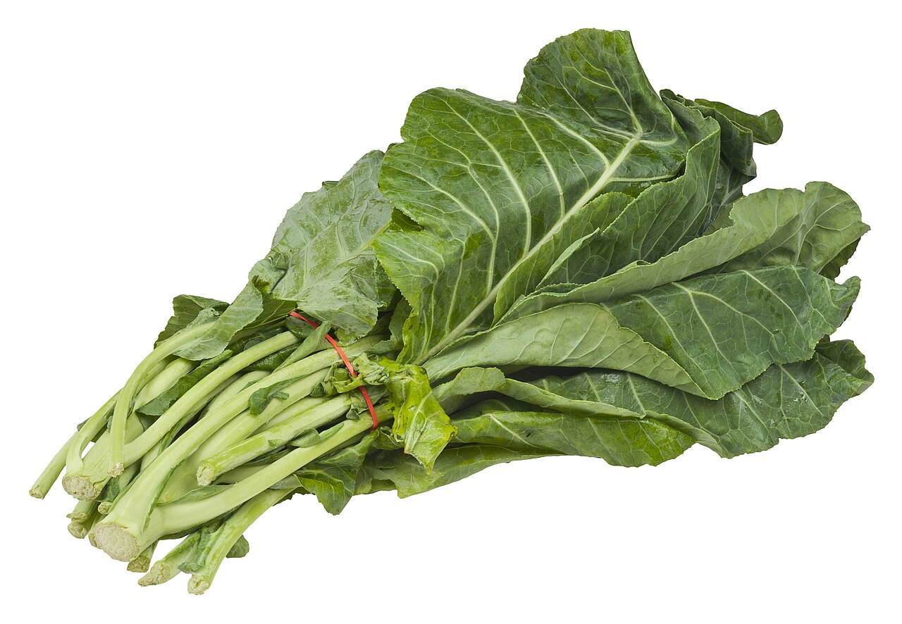 Collard Greens Starter Plant — photo: Evan-Amos, Public domain, via Wikimedia Commons