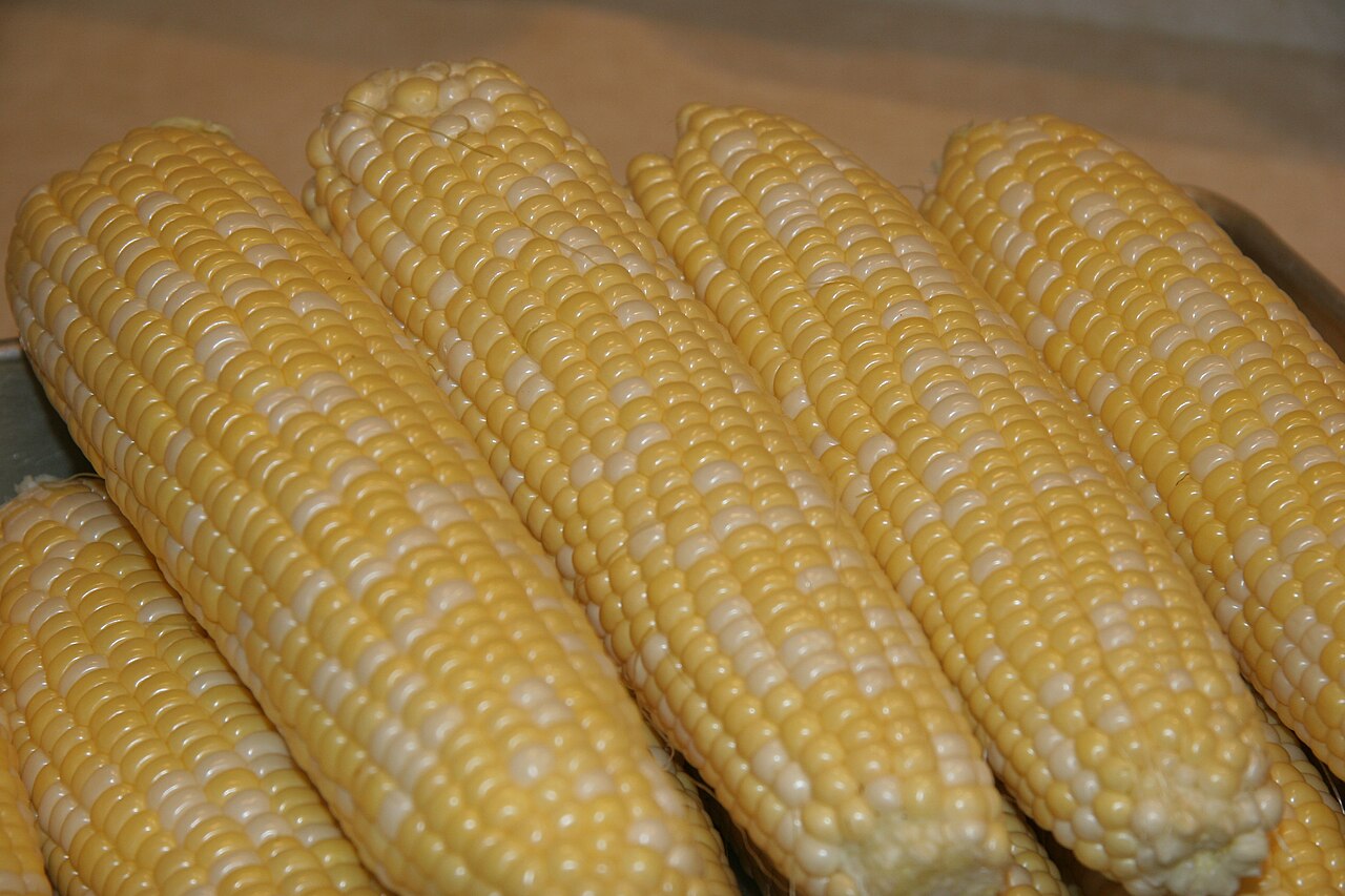 Fresh Sweet Corn grown in Alabama by Wade Greens