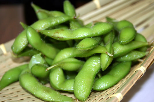 Edamame Starter Plant — photo: Tammy Green (Zesmerelda), CC BY-SA 2.0, via Wikimedia Commons