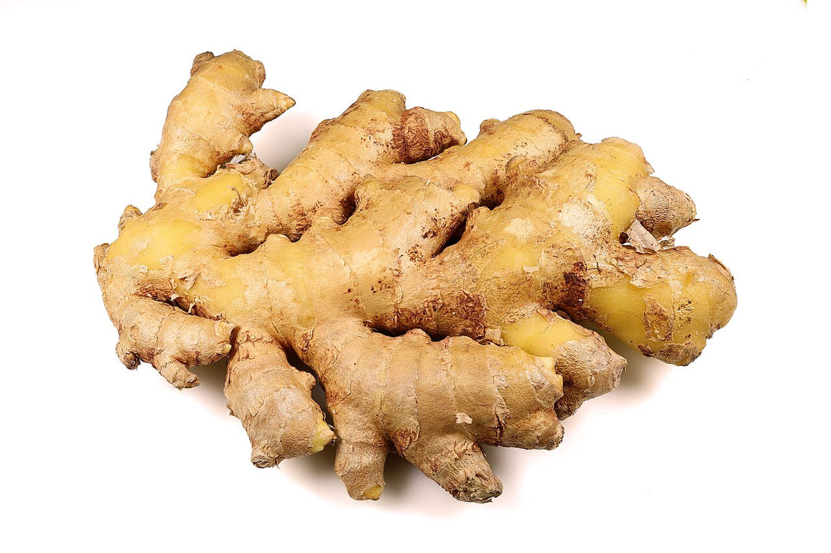 Fresh Ginger grown in Alabama by Wade Greens