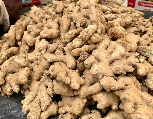 Ginger Seed Rhizome — photo: Judethedeus, CC0, via Wikimedia Commons