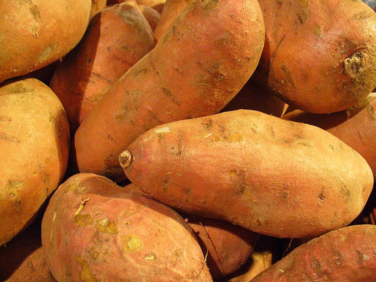 Fresh Sweet Potatoes grown in Alabama by Wade Greens