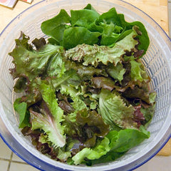Fresh Mesclun / Salad Mix grown in Alabama by Wade Greens