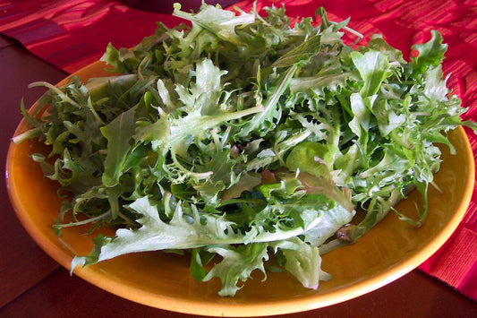 Mesclun Salad Mix Starter Plant — photo: Patrice Semeria, Public domain, via Wikimedia Commons