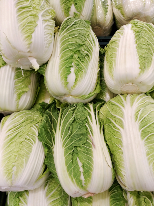Napa Cabbage Starter Plant — photo: Bayartai, CC0, via Wikimedia Commons