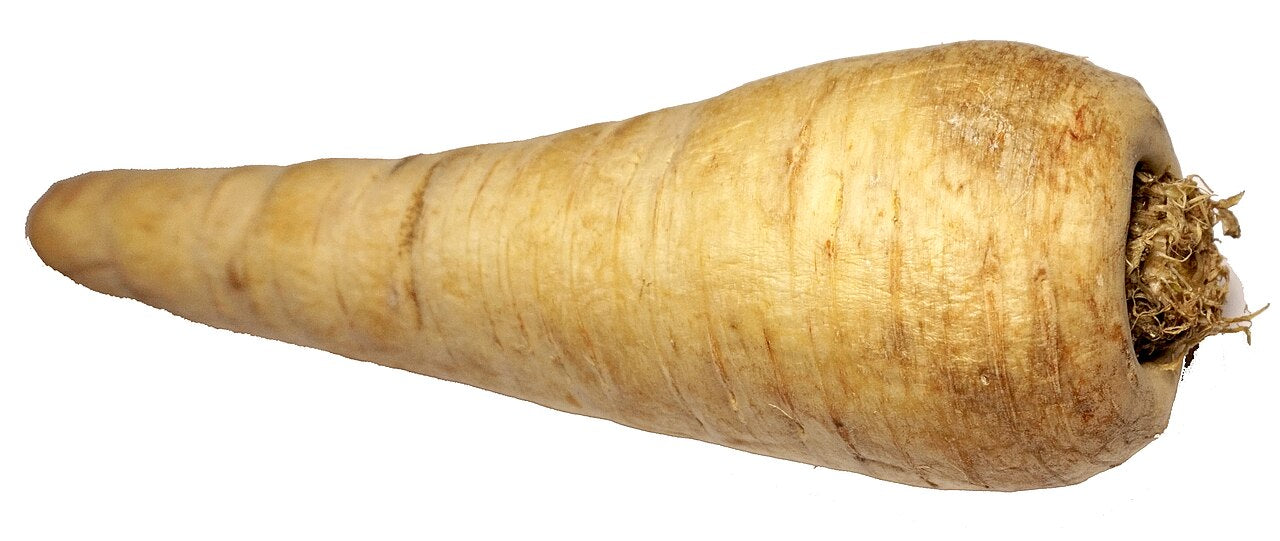 Fresh Parsnip grown in Alabama by Wade Greens