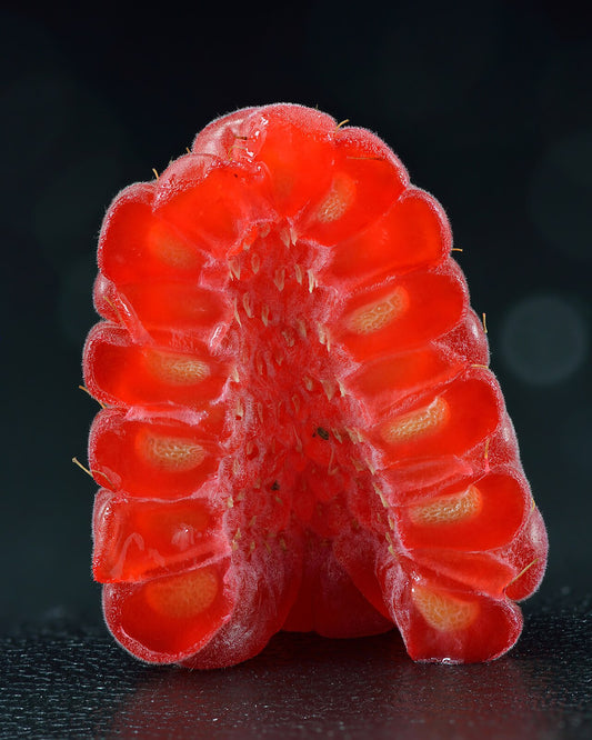 Raspberry — photo: Ivar Leidus, CC BY-SA 4.0, via Wikimedia Commons