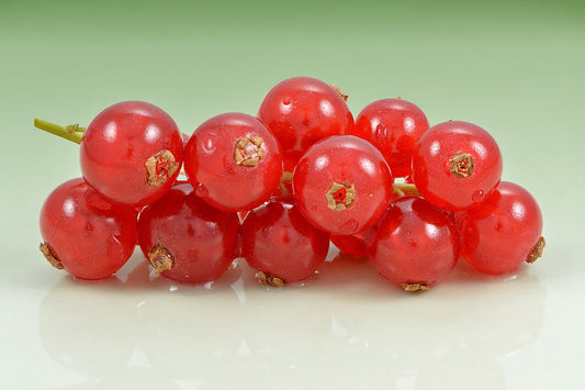 Fresh Currant grown in Alabama by Wade Greens