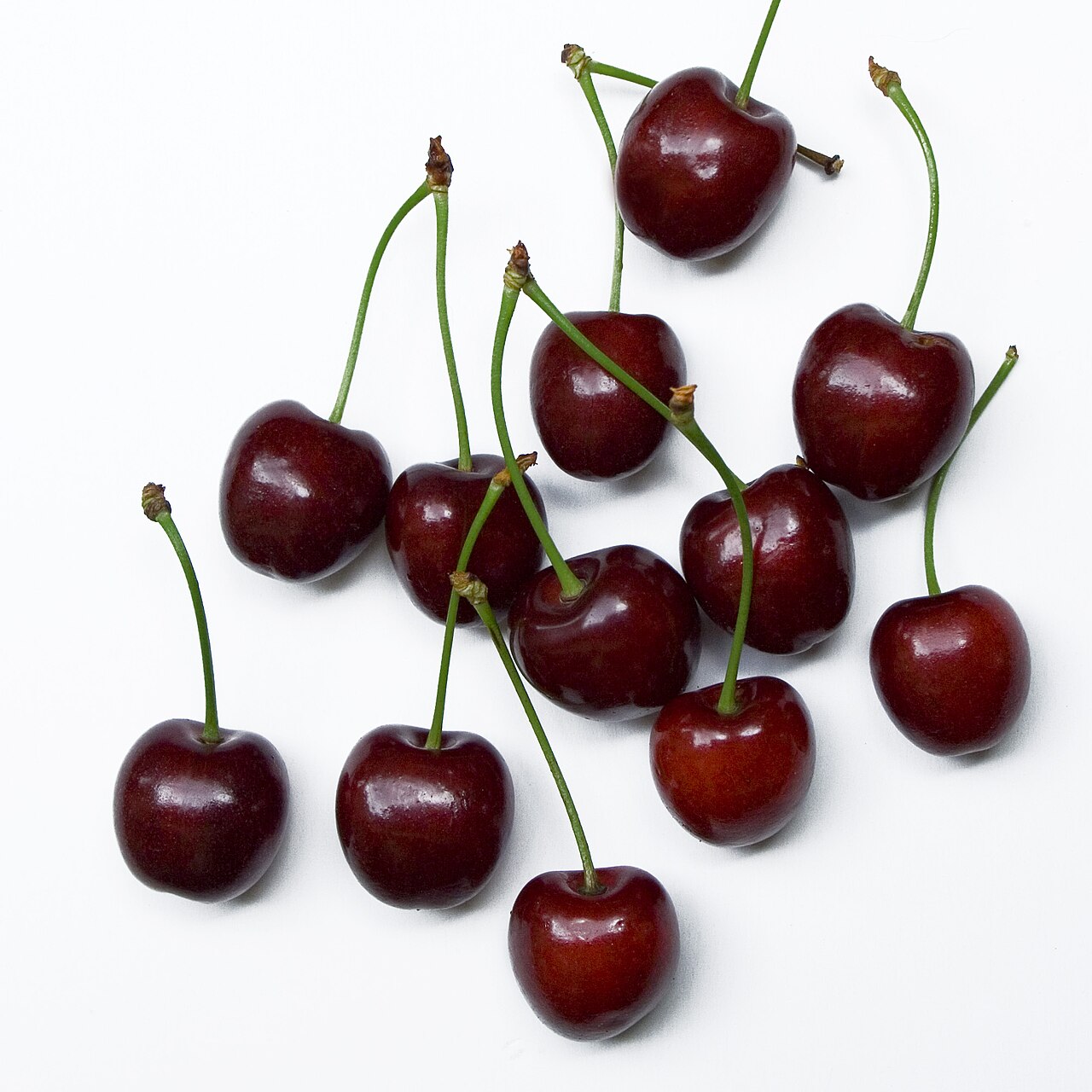 Cherry Tree Sapling (Prunus) — live plant from Wade Greens