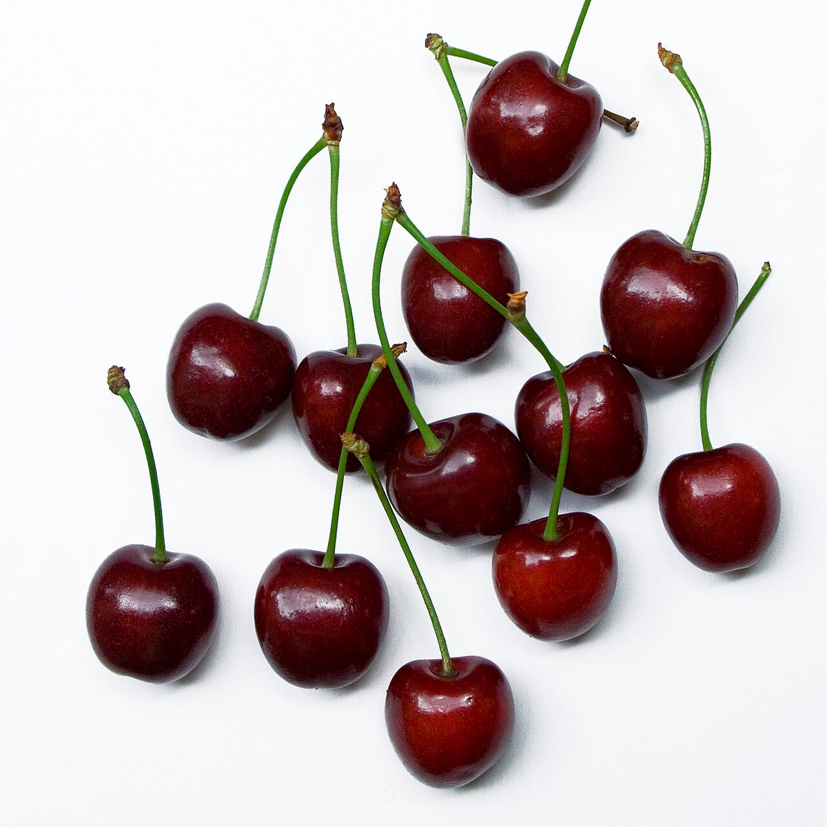 Cherry Tree Sapling (Prunus) — live plant from Wade Greens