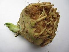 Fresh Celeriac grown in Alabama by Wade Greens