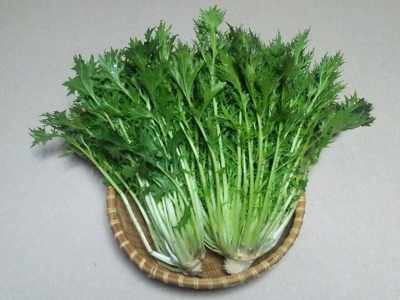 Fresh Mizuna grown in Alabama by Wade Greens