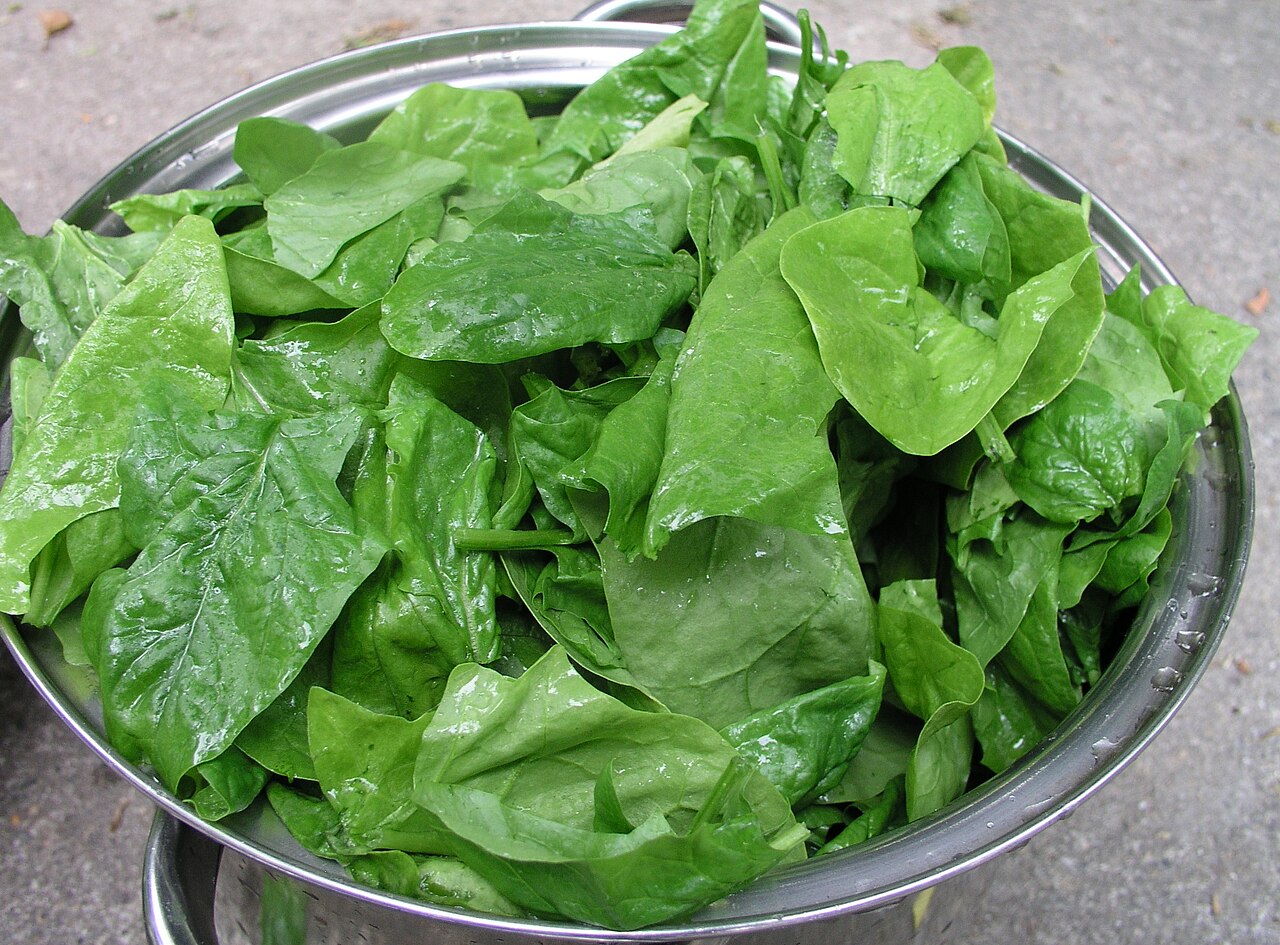 Fresh Spinach grown in Alabama by Wade Greens