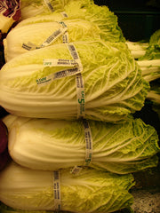 Fresh Napa Cabbage grown in Alabama by Wade Greens