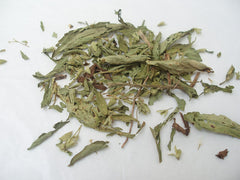 Stevia (Stevia rebaudiana) live herb plant from Wade Greens