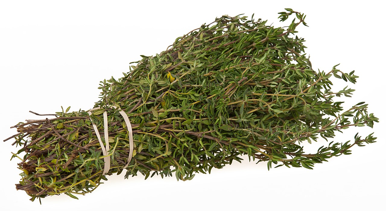 Thyme - Fresh Cut — photo: Evan-Amos, CC0, via Wikimedia Commons