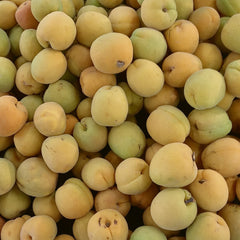 Apricots — photo: Fumikas Sagisavas, CC0, via Wikimedia Commons