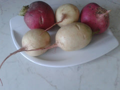Turnip — Wade Greens, Lineville Alabama