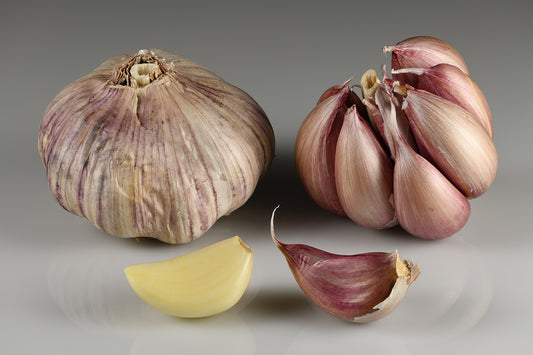 Garlic Cloves - Wade Greens, Lineville Alabama