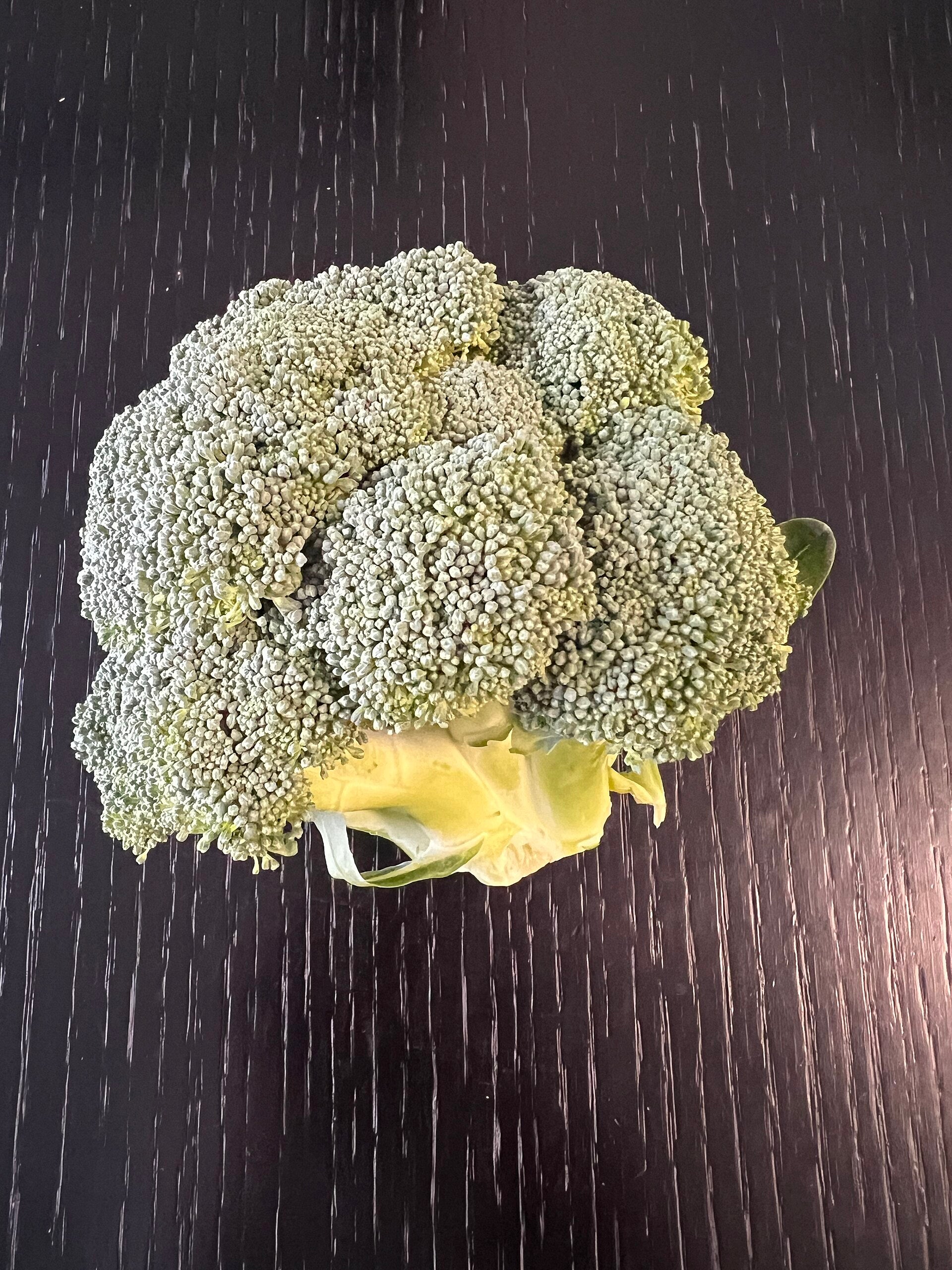 Broccoli - Wade Greens, Lineville Alabama