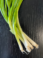 Green Onion / Scallion — Wade Greens, Lineville Alabama