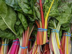 Ornamental Swiss Chard — Wade Greens, Lineville Alabama