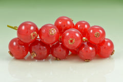 Currant — Wade Greens, Lineville Alabama