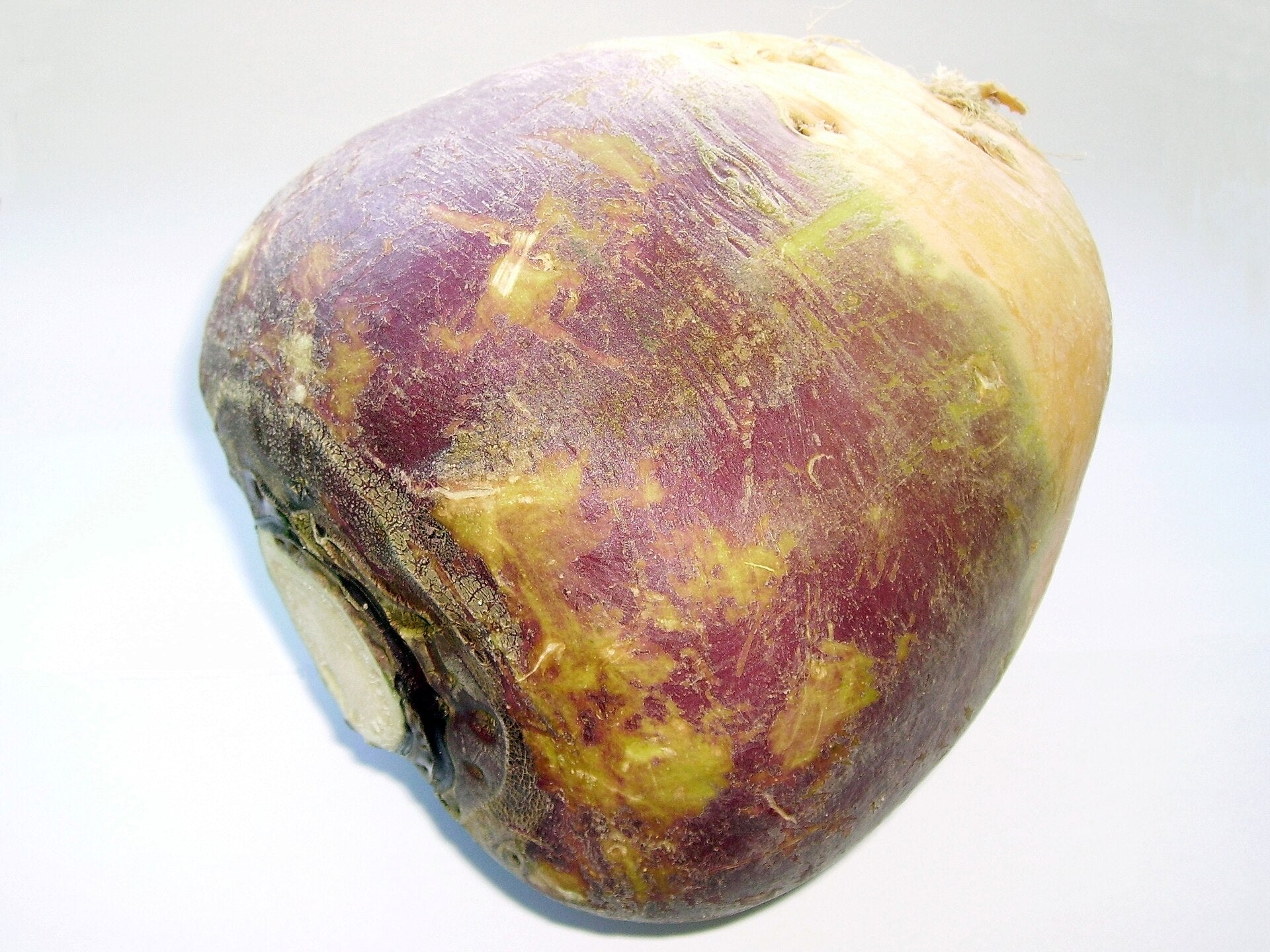Rutabaga — Wade Greens, Lineville Alabama