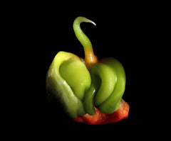 Hot Pepper — Wade Greens, Lineville Alabama