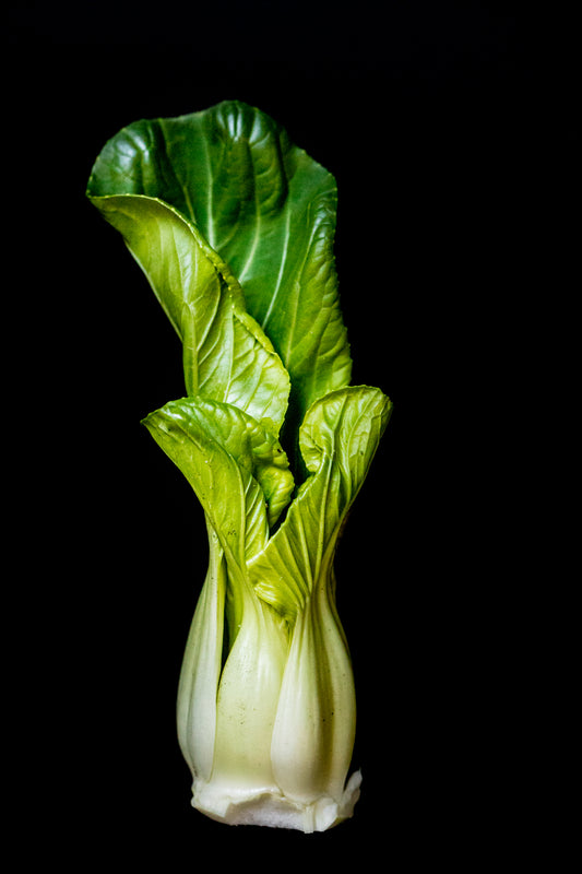 Bok Choy / Pak Choi Starter Plant — photo: spurekar, CC BY 2.0, via Wikimedia Commons