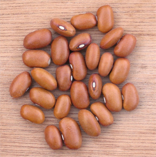 Fresh Pole Bean grown in Alabama by Wade Greens