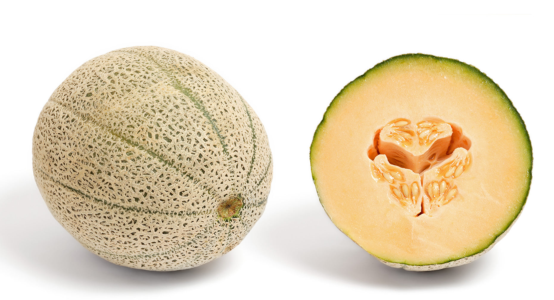 Specialty Melon — Wade Greens, Lineville Alabama