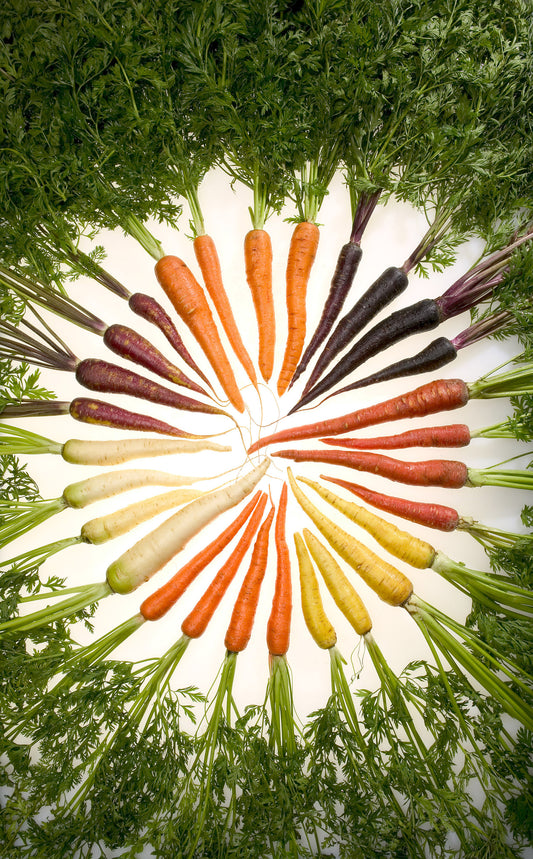 Carrots - Wade Greens, Lineville Alabama